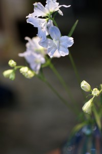 サブロウ　一輪挿し　3,675円（税込）