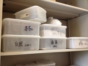 サブロウ〜富山・石川の旅〜